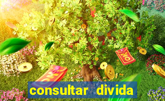 consultar divida casas bahia